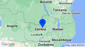 Adresse Zambia Forestry and Forest Industries Corporation Plc(ZFCO)