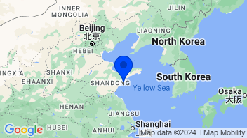 Adresse Qingdao Port International Co., Ltd.(6198)