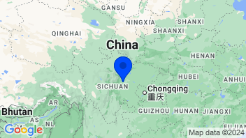 Adresse Sichuan Biokin Pharmaceutical Co.,Ltd.(688506)