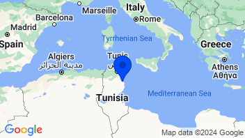 Adresse Société Tunisienne d'Email S.A(SOTEM)