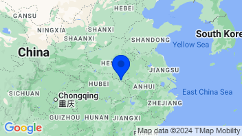 Adresse Henan Lingrui Pharmaceutical Co., Ltd.(600285)