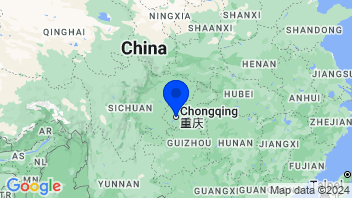 Adresse Chongqing Iron & Steel Company Limited(601005)