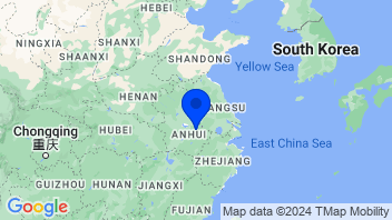 Adresse Wuhu Token Sciences Co., Ltd.(300088)