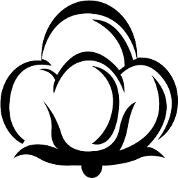 Axita Cotton Limited