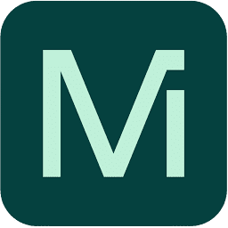 Mint Payments Limited