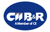 CII Bridges and Roads Investment CII Bridges and Roads Investment