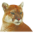 Puma Biotechnology Inc