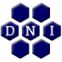 DNI Metals Inc. DNI Metals Inc.