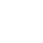 Republic Technologies Inc.