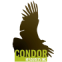 Condor Resources Inc. Condor Resources Inc.