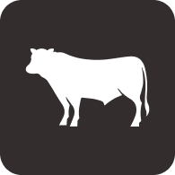 Zambeef Products PLC Zambeef Products PLC