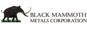 Black Mammoth Metals Corporation Black Mammoth Metals Corporation