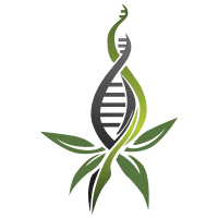 WEED, Inc. WEED, Inc.