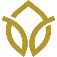 Ayurcann Holdings Corp. Ayurcann Holdings Corp.