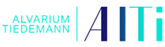 Alvarium Tiedemann A Alvarium Tiedemann A
