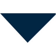 Bareket Capital Ltd
