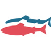 Gigante Salmon Gigante Salmon