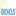 Broncus Holding Corporation