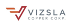 Vizsla Copper