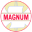 Magnum Ventures Limited