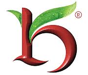 Kesar India Limited