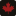 Champion Bear Resources Ltd.