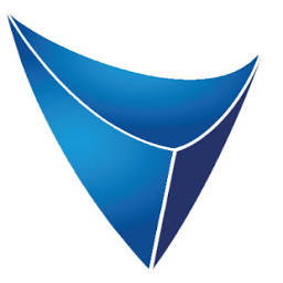 Invictus Investment Company PLC Invictus Investment Company PLC