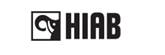 Hiab Oyj Hiab Oyj