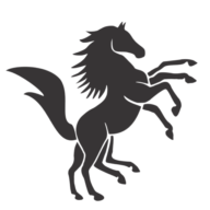Lloyds Luxuries Limited