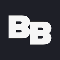 Brave Bison Group plc