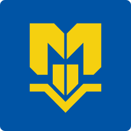 Mincon Group plc Mincon Group plc