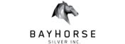 Bayhorse Silver Inc. Bayhorse Silver Inc.