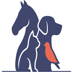 Pet Service Holding N.V. Pet Service Holding N.V.