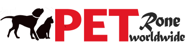 Petrone Worldwide, Inc. Petrone Worldwide, Inc.