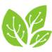 Shanthala FMCG Products Limited