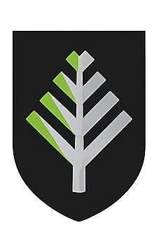 Norfolk Metals Limited Norfolk Metals Limited