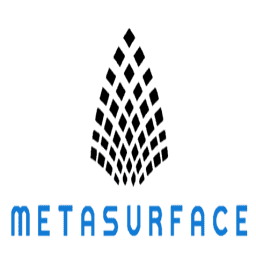 Metasurface Technologies Holdings Limited Metasurface Technologies Holdings Limited