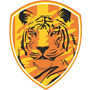 Rajputana Industries Limited
