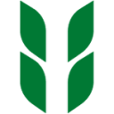 Ugreen Group Limited Ugreen Group Limited
