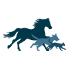 PetVivo Holdings, Inc. PetVivo Holdings, Inc.