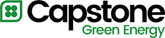 Capstone Energy+, Inc.
