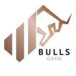 Bulls Girisim Sermayesi Yatirim Ortakligi