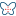 Nephrocare Health Services Limited
