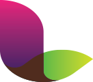 Lavoro Limited