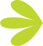 Innodis Ltd Innodis Ltd