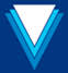 Delta Insurance Company