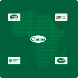 Chams Holding Company Plc Chams Holding Company Plc