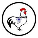 Rajeswari Infrastructure Limited Rajeswari Infrastructure Limited