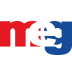 Middle East Glass Manufacturing Company S.A.E. Middle East Glass Manufacturing Company S.A.E.