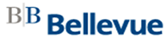 Bellevue Group AG Bellevue Group AG